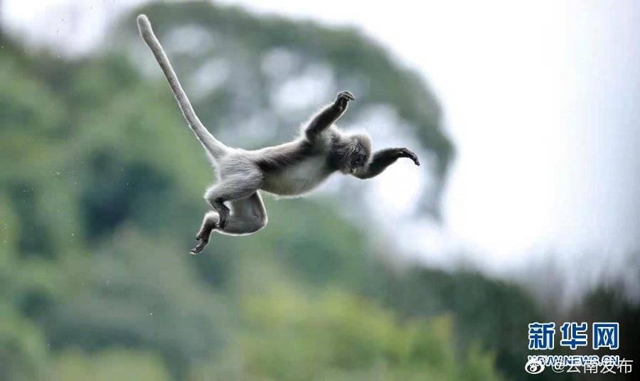 “云南发布”微博