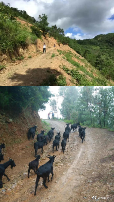 “云南发布”微博