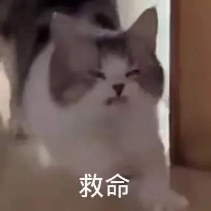 掌上春城(微信)