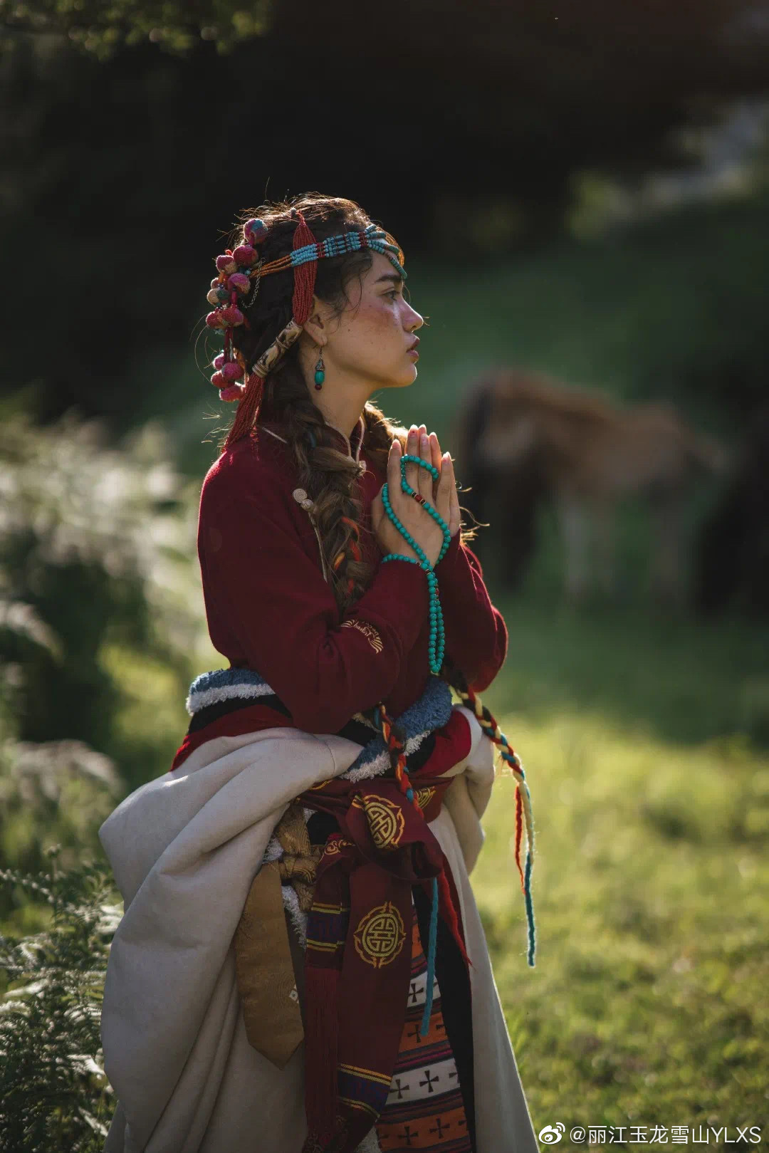 丽江玉龙雪山YLXS微博