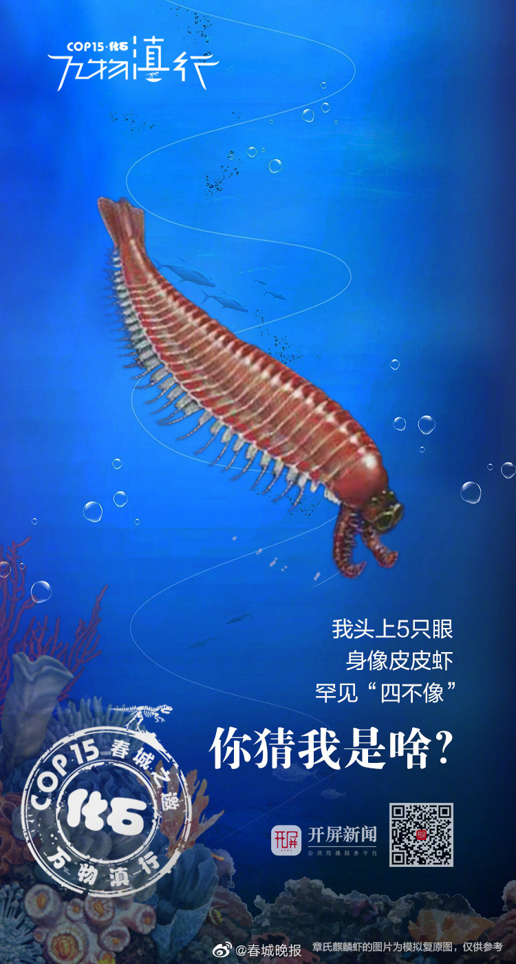 我头上5只眼，身像皮皮虾，罕见“四不像”，你猜我是啥？