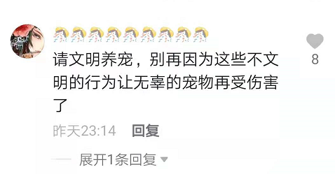 春城晚报(微信)