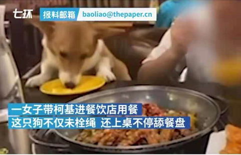 春城晚报(微信)