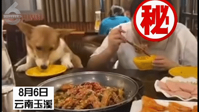 春城晚报(微信)