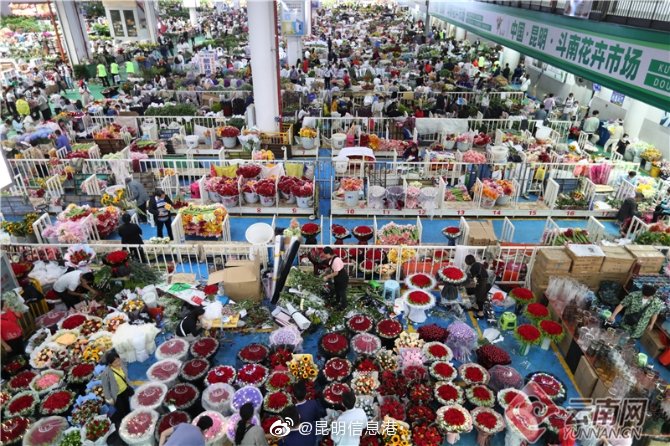 昆明信息港微博