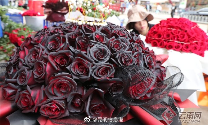 昆明信息港微博