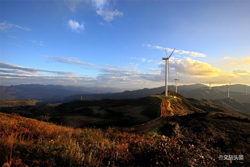 云南省文化和旅游厅