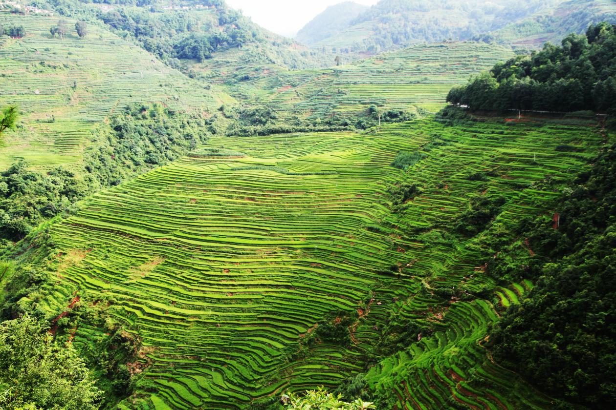 云南省文化和旅游厅