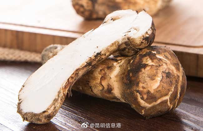 昆明信息港微博