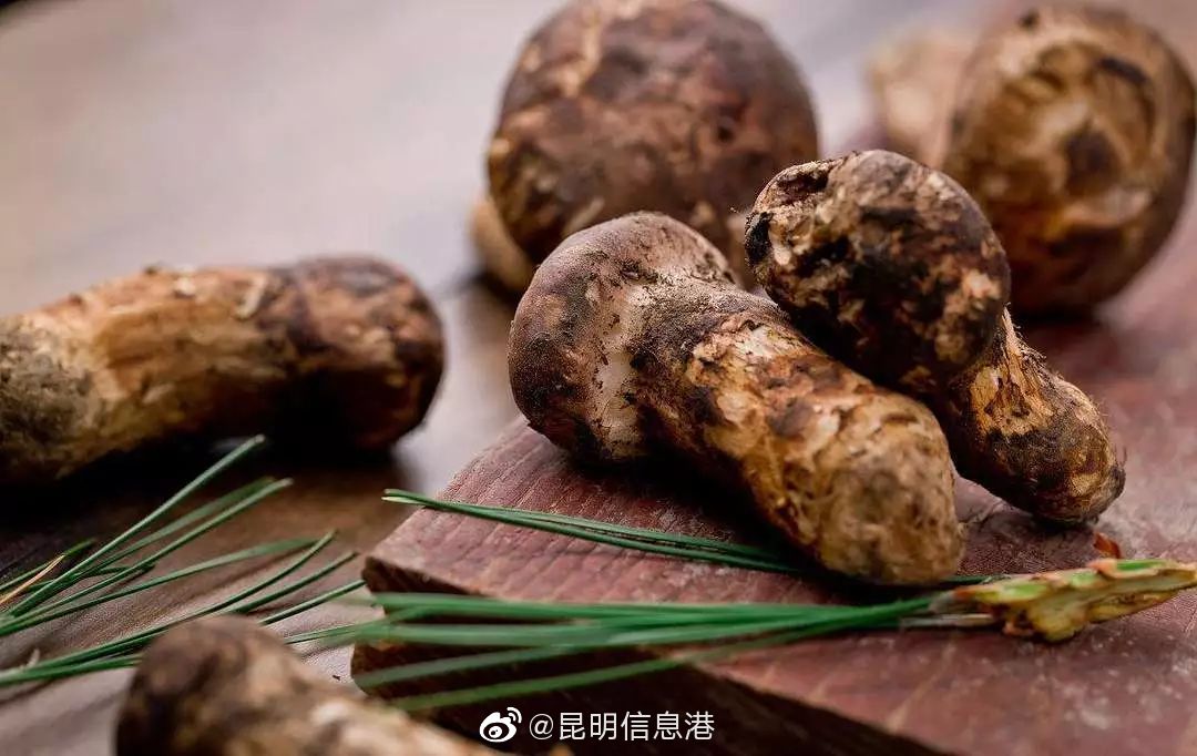 昆明信息港微博