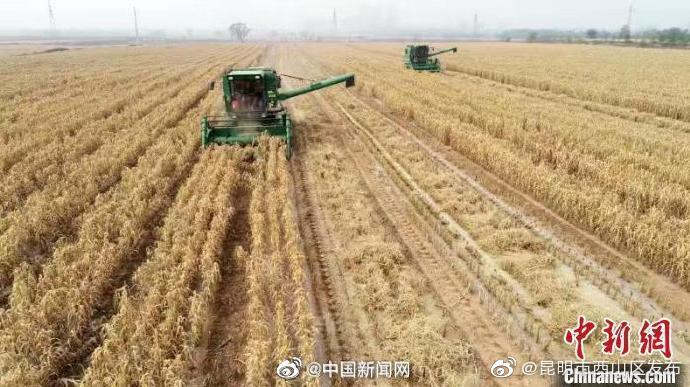 统计局谈洪涝灾害是否影响粮食产量：全年粮食丰收有较好基础