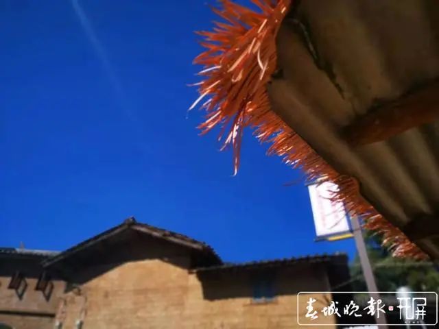 春城晚报(微信)