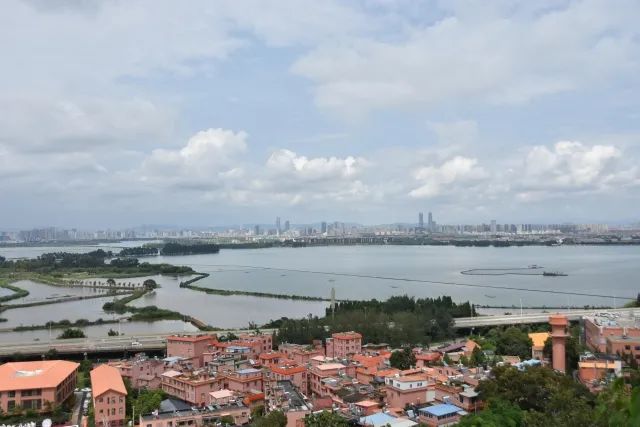 春城晚报(微信)