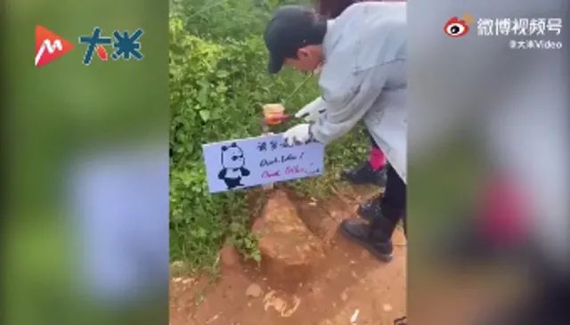 春城晚报(微信)