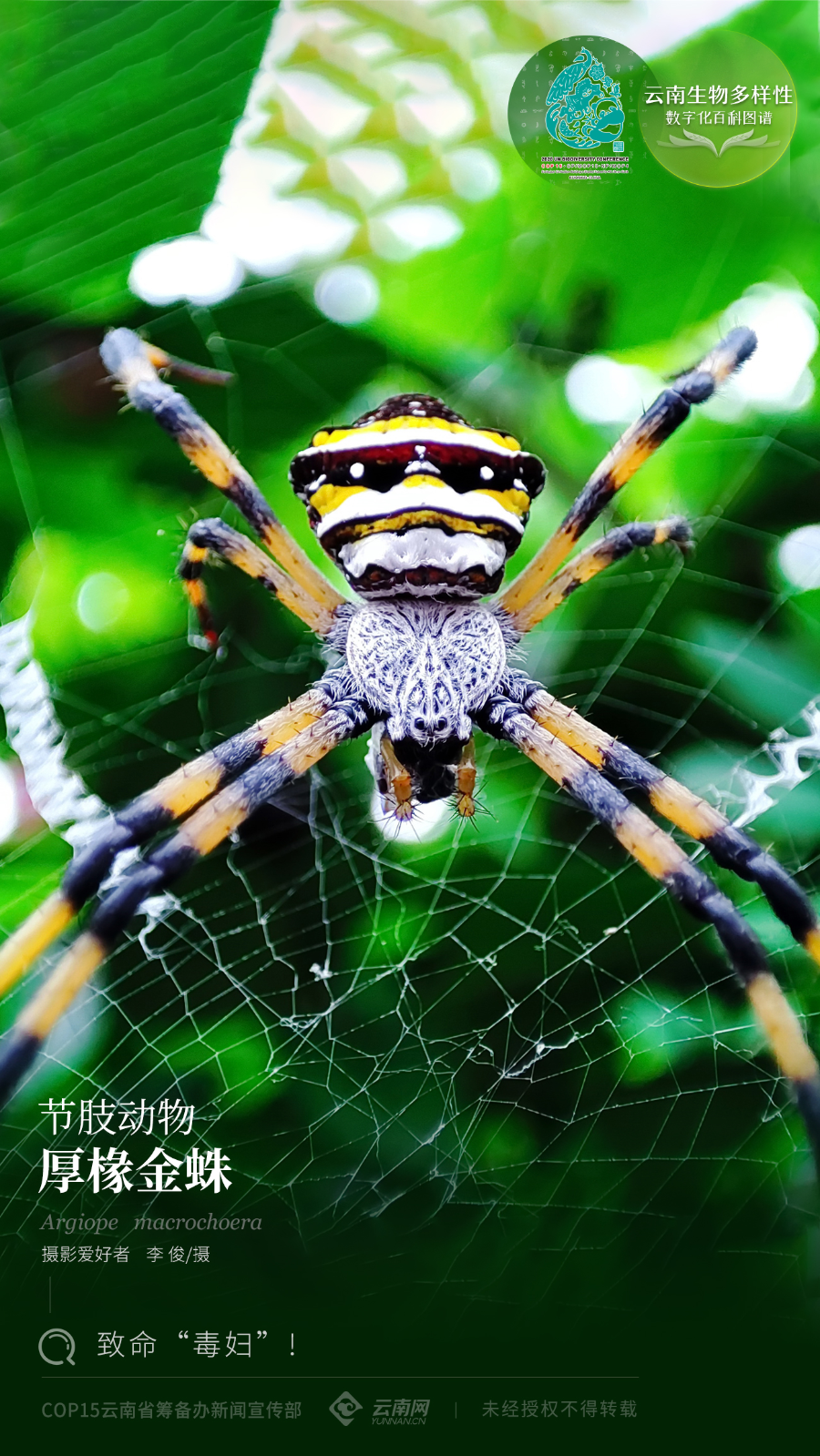 云南省人民政府网