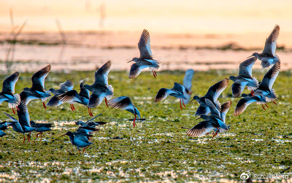 云南环境空气质量预报
