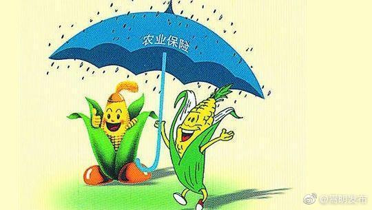 农业保险保农民增收