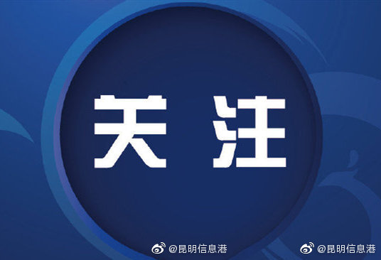 昆明市党员、公职人员不担当不作为问题通报 曝光