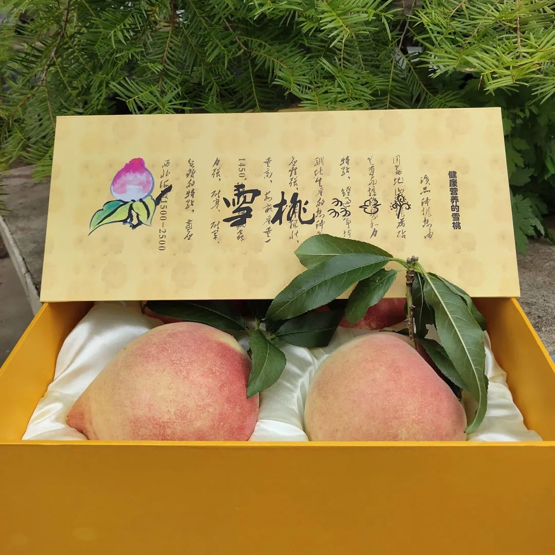 丽江日报(微信)