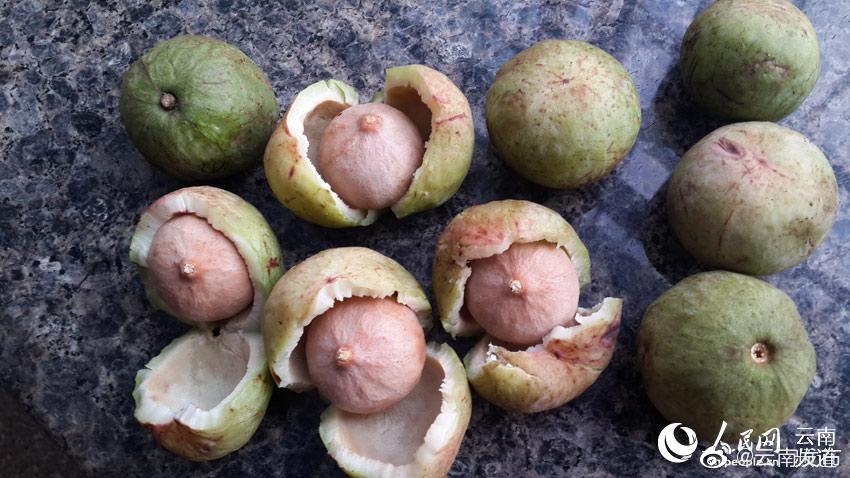 “云南发布”微博