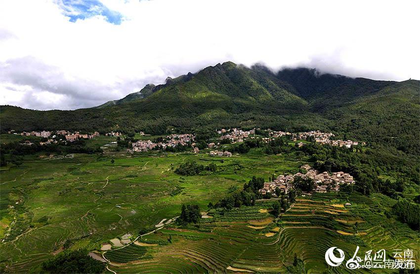 “云南发布”微博