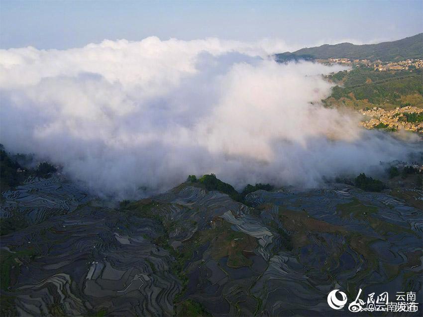 “云南发布”微博