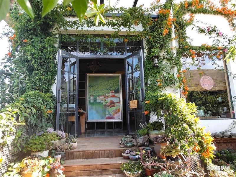 云南省文化和旅游厅