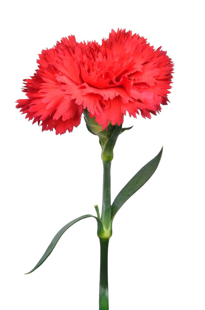 德宏团结报(微信)