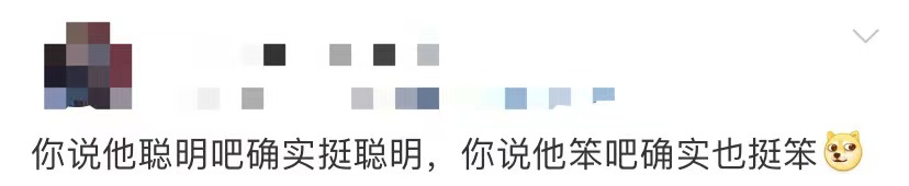 春城晚报(微信)