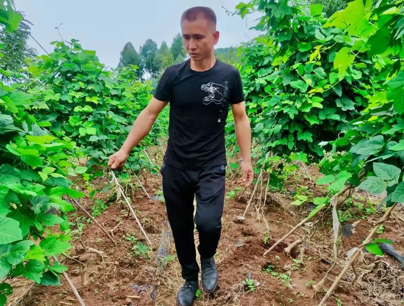 云南楚雄网(微信)