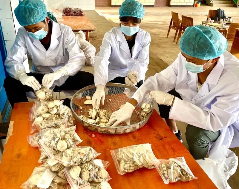 云南楚雄网(微信)