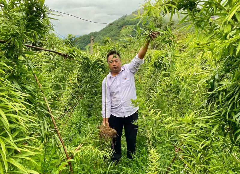 云南楚雄网(微信)