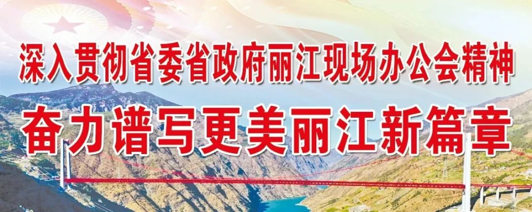 丽江日报(微信)