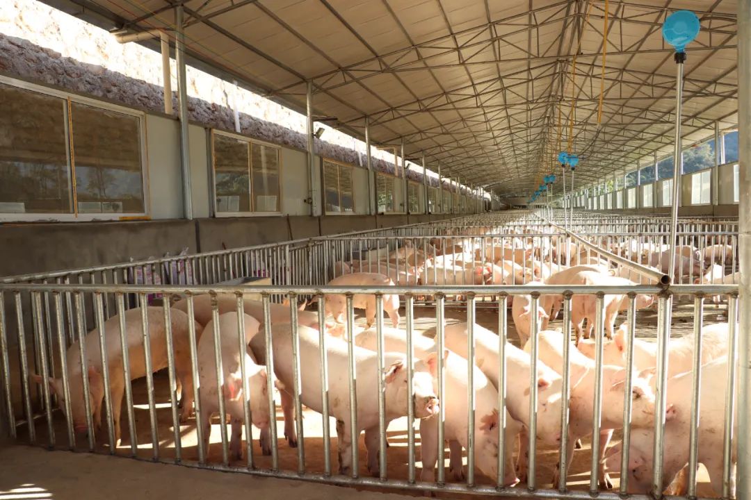 云南省人民政府网