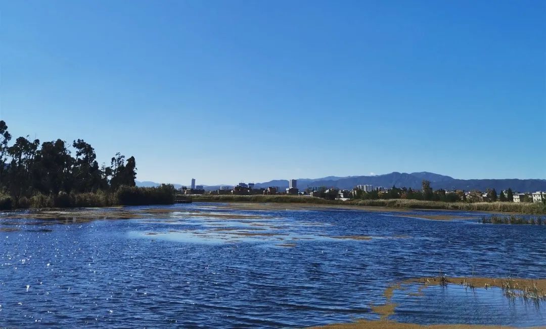 云南省人民政府网