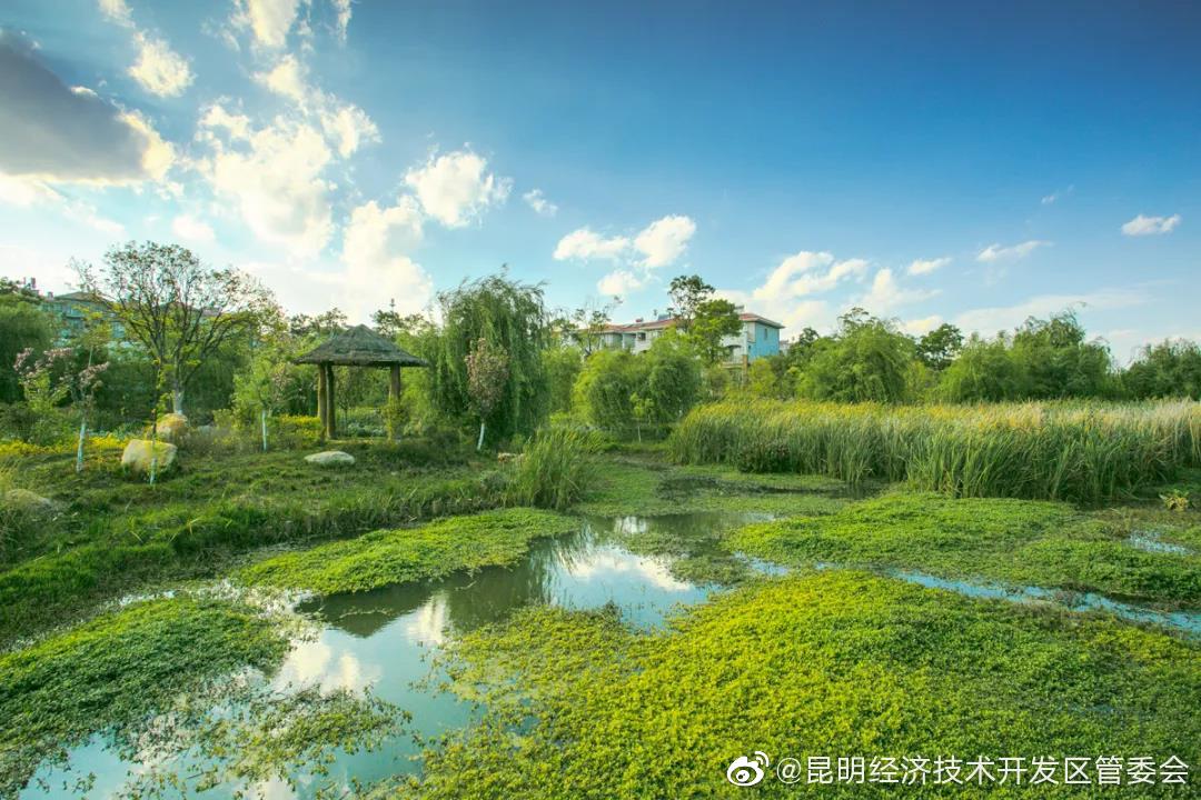 全市8月15日空气质量排名发布 经开区第一