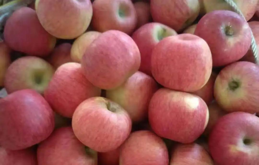 丽江日报(微信)