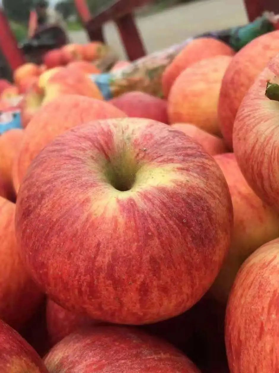 丽江日报(微信)