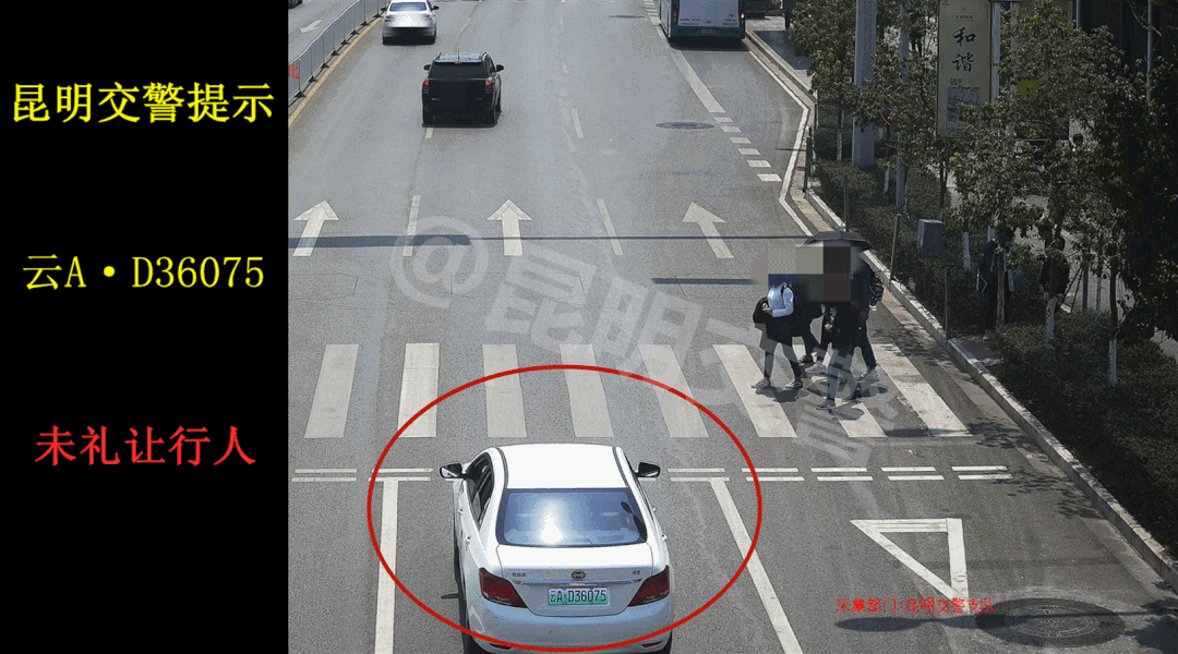 昆明信息港(微信)