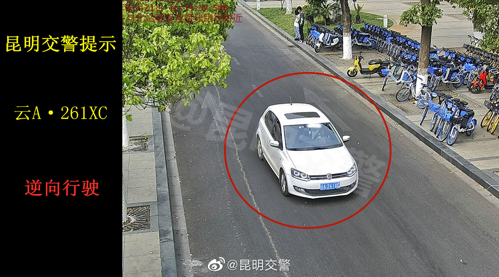 昆明交警微博