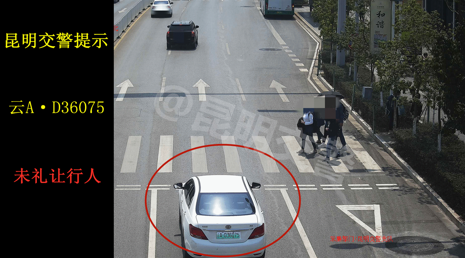 昆明交警微博