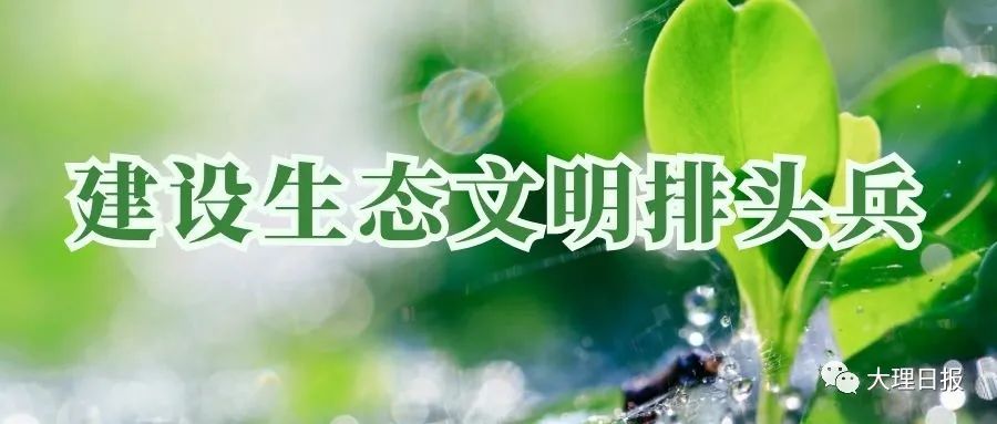 大理日报(微信)