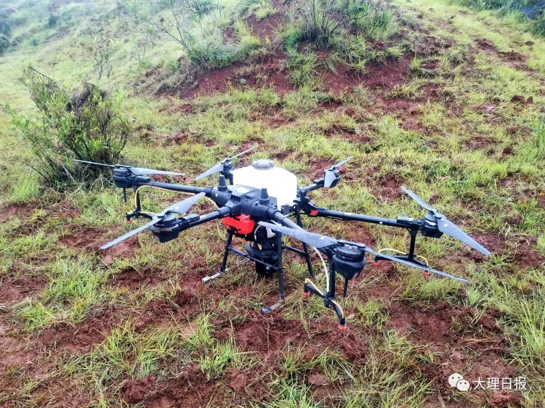 大理日报(微信)