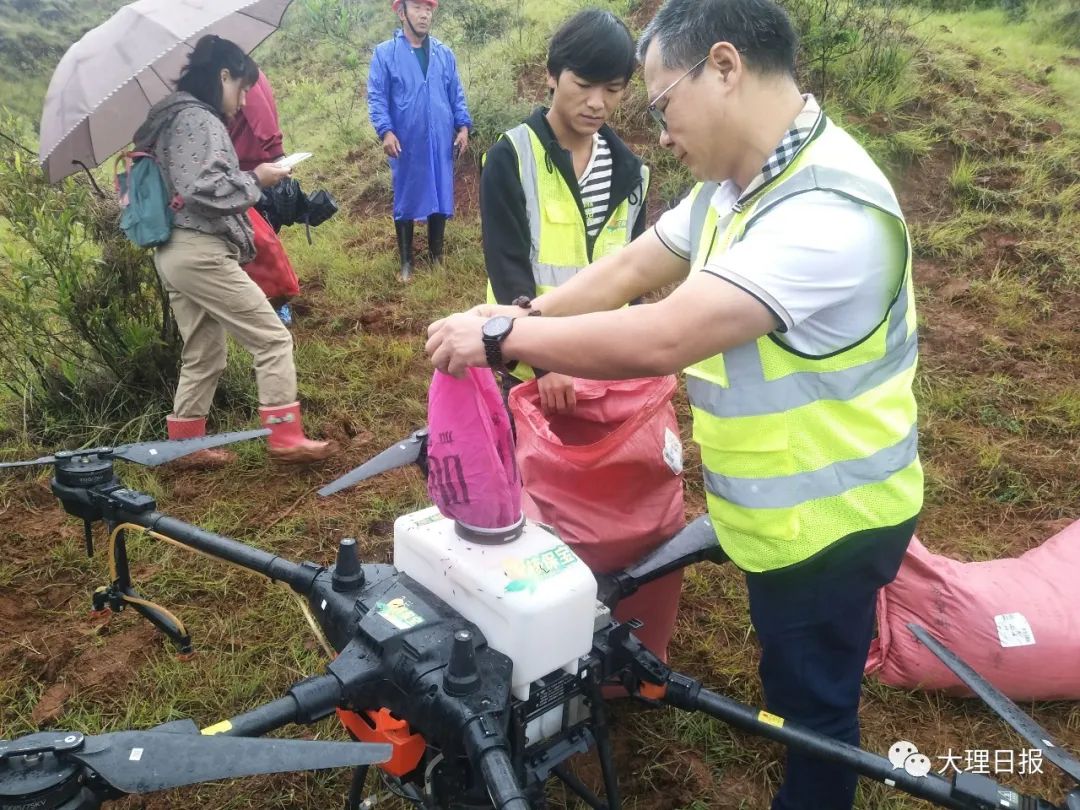 大理日报(微信)