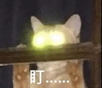 云南法制报(微信)