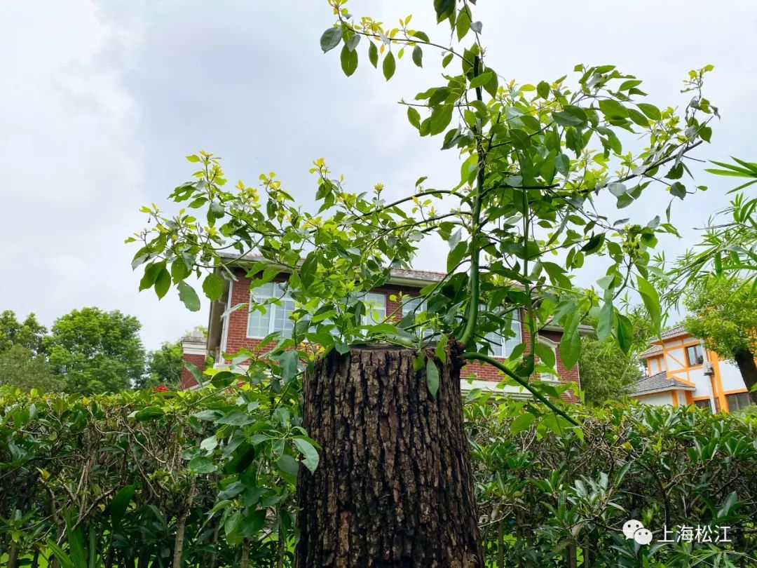 918云南交通台(微信)