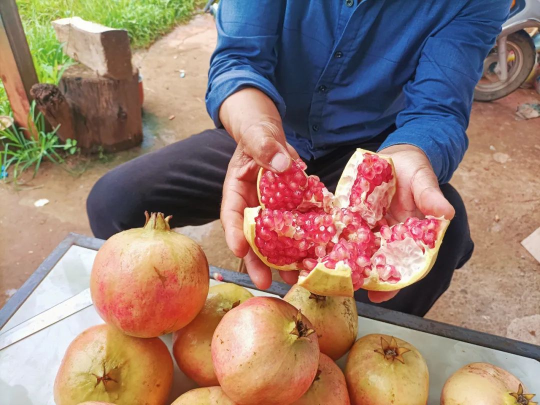 丽江日报(微信)