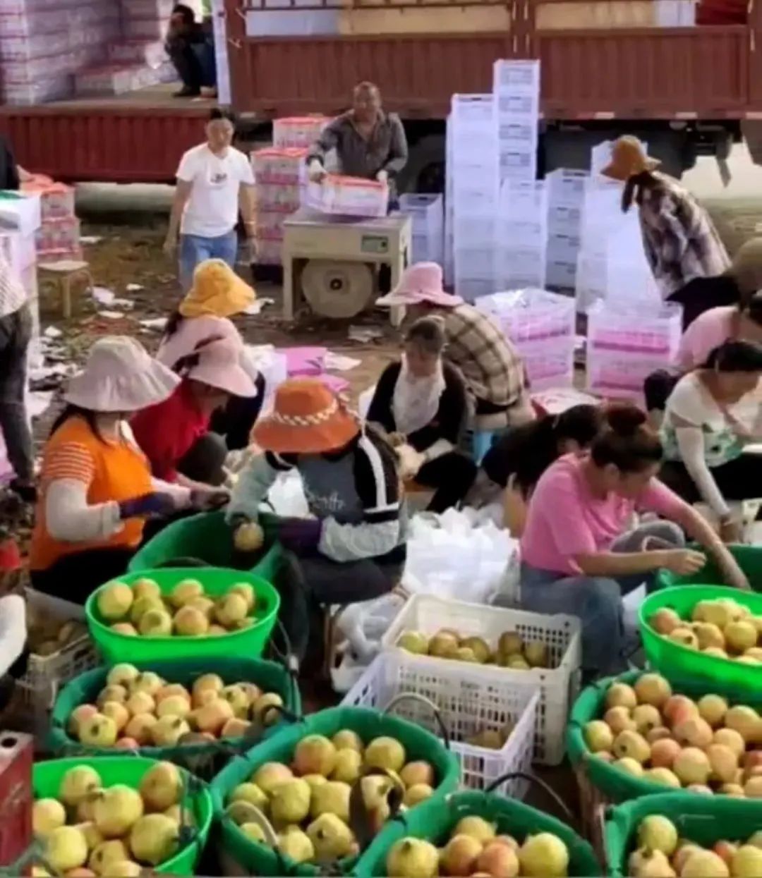 丽江日报(微信)