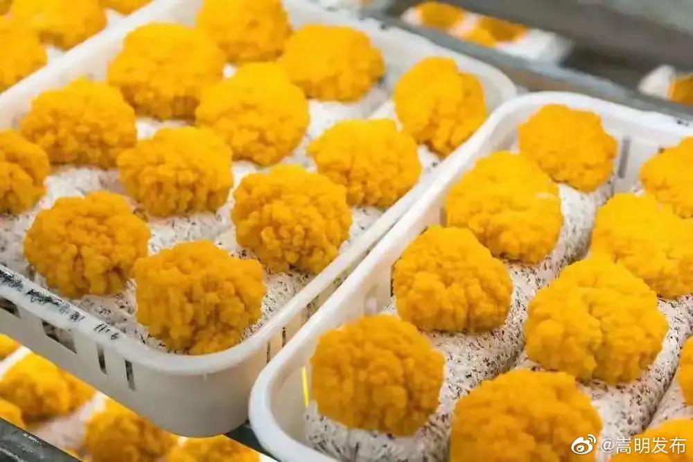 “嵩明发布”微博