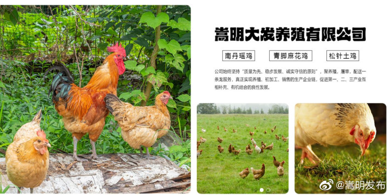 “嵩明发布”微博